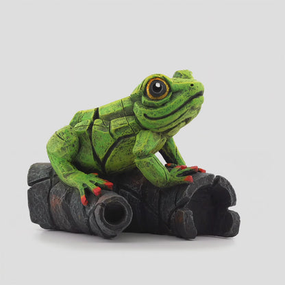 African Tree Frog Green