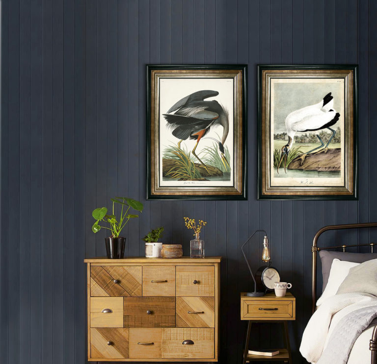 Wood Ibis framed print by John James Audubon