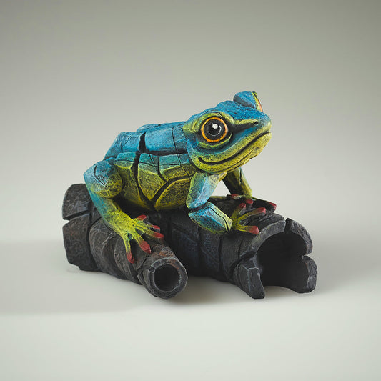 African Tree Frog Blue Yellow from Edge Sculpture by Matt Buckley