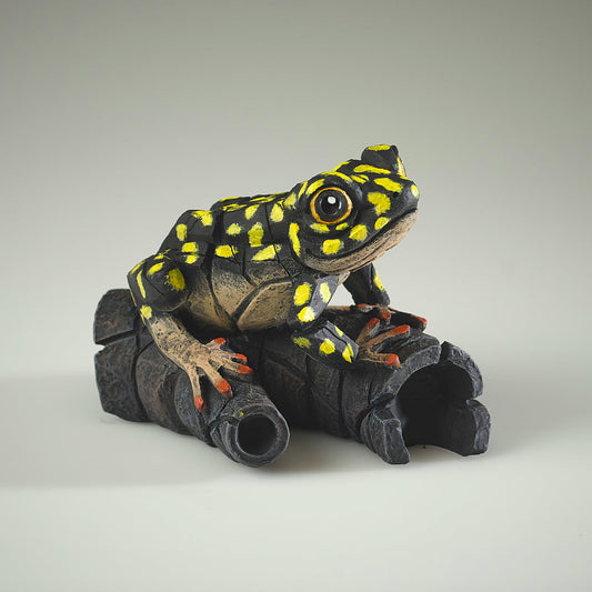 African Tree Frog Yellow Spot from Edge Sculpture by Matt Buckley