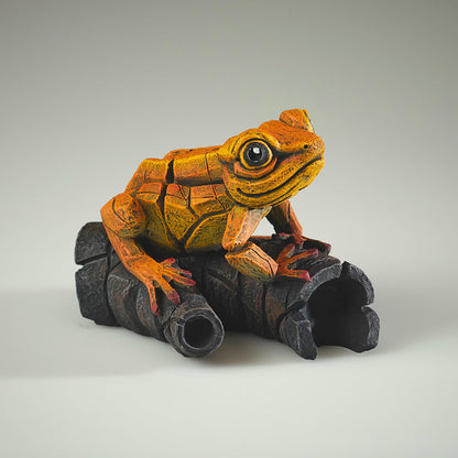 African Tree Frog Orange from Edge Sculpture by Matt Buckley