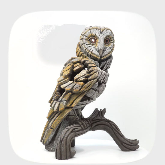 Edge Sculpture Barn Owl by Matt Buckley Artworx Gallery