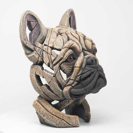 French Bulldog Bust - Fawn from Edge Sculpture by Matt Buckley