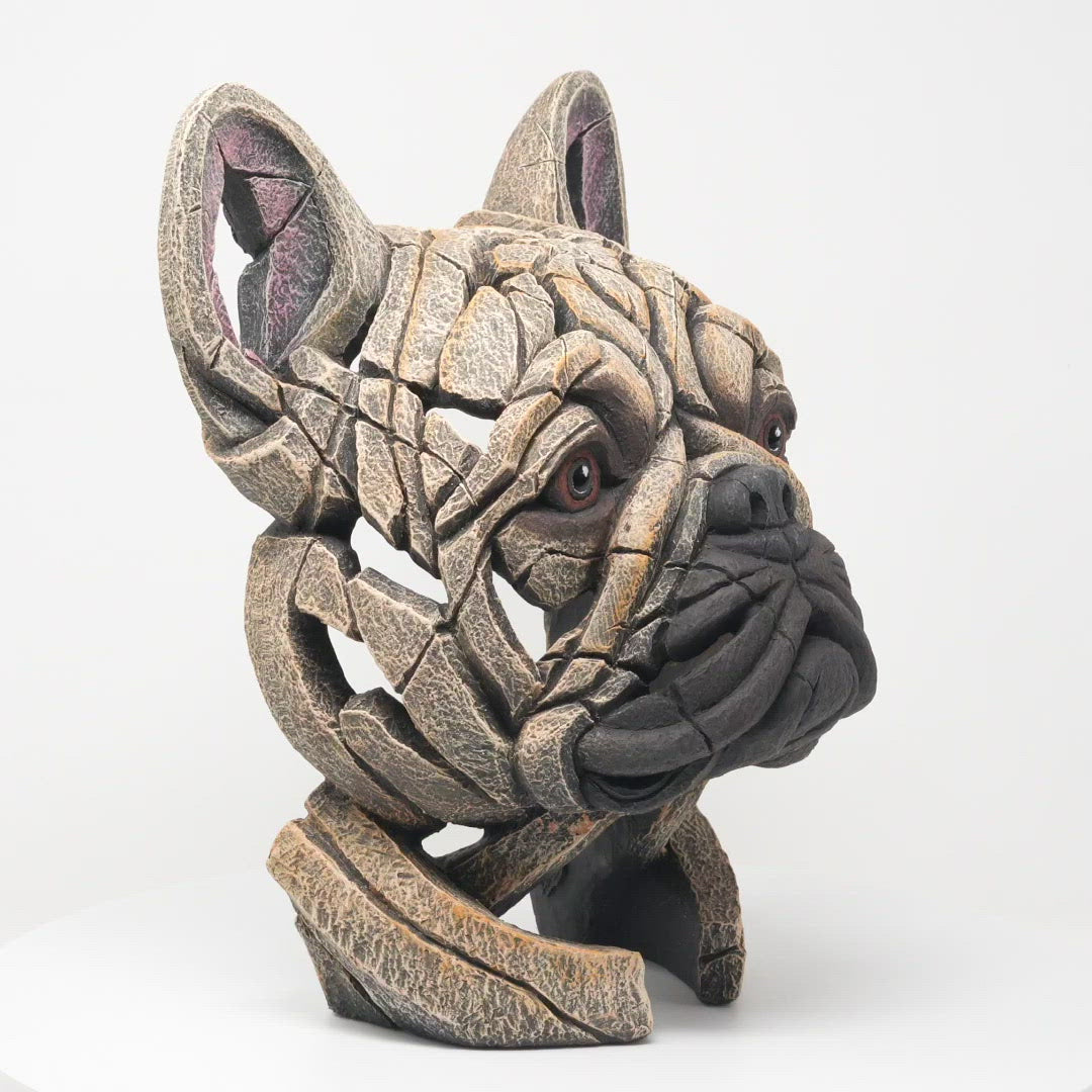 French Bulldog Bust - Fawn from Edge Sculpture by Matt Buckley
