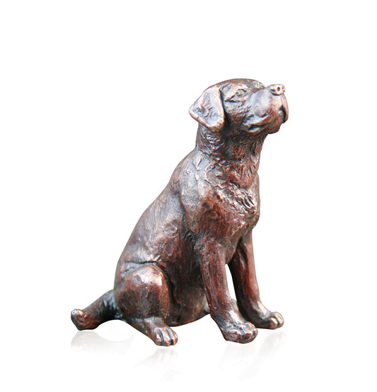 Small Labrador Sitting Solid Bronze Sculpture by Keith Sherwin