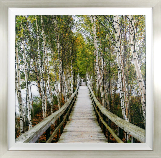The Path Home framed print by Kas Stone