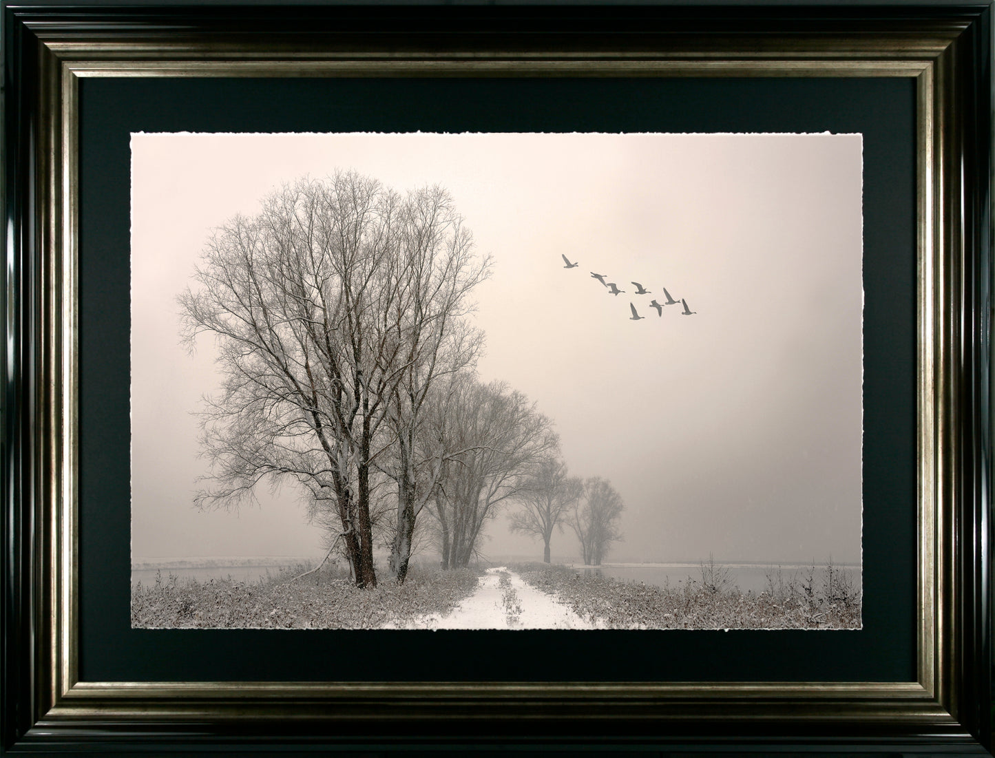 Winter Flight framed print by Urlings