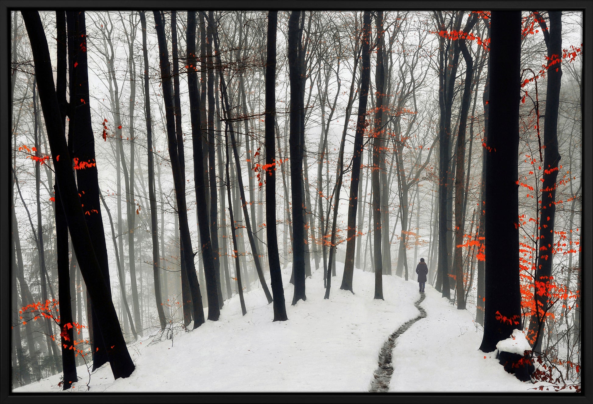Walking Through Winter framed print by Krivec