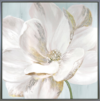 Soft White framed print by Eva Watts