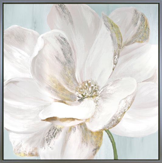 Soft White framed print by Eva Watts