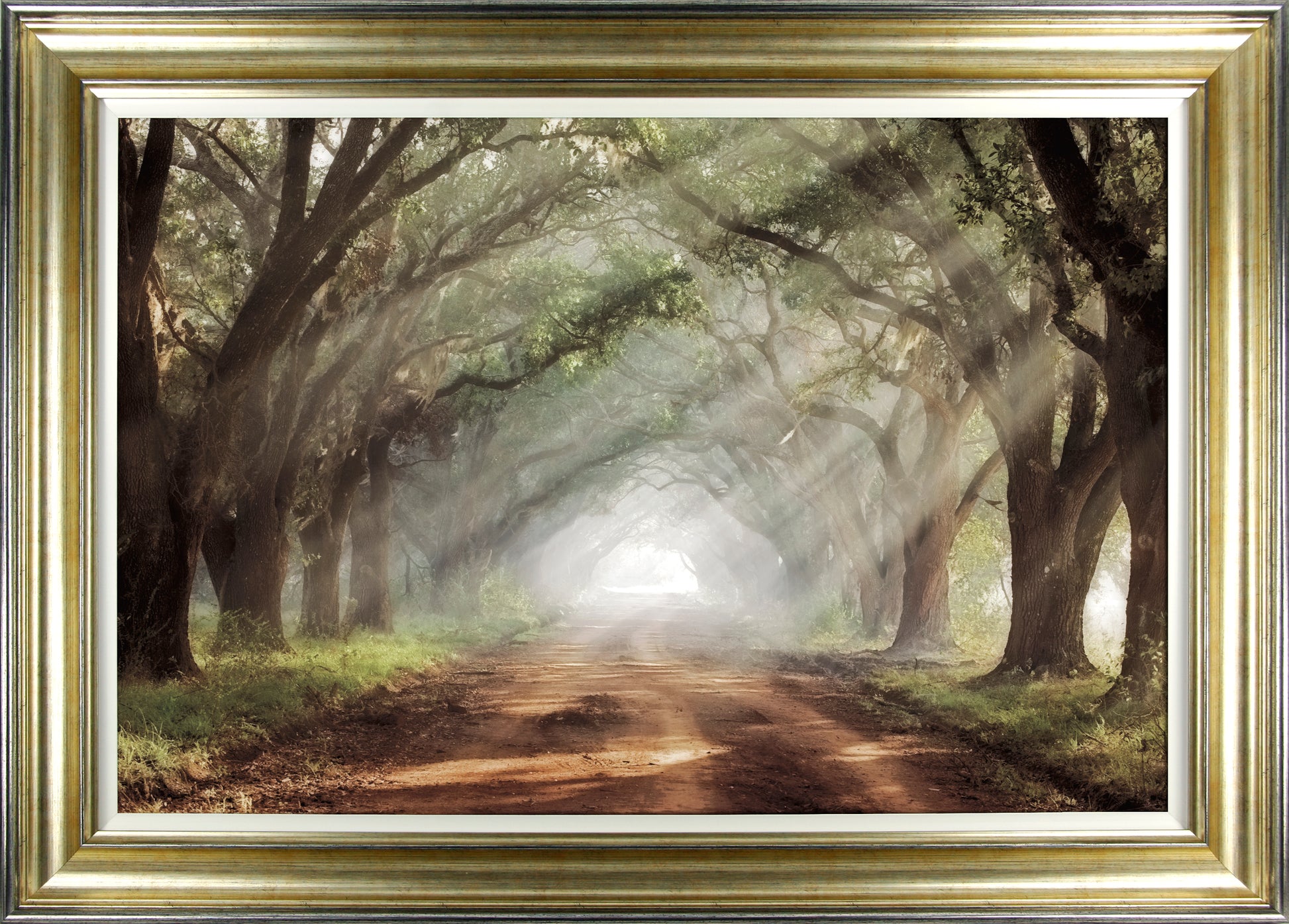 Evergreen Avenue framed print by Mike Jones