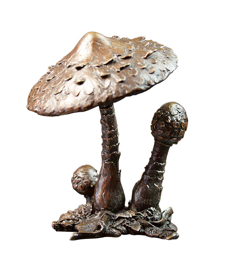 Parasol Mushroom Solid Bronze Sculpture by Michael Simpson