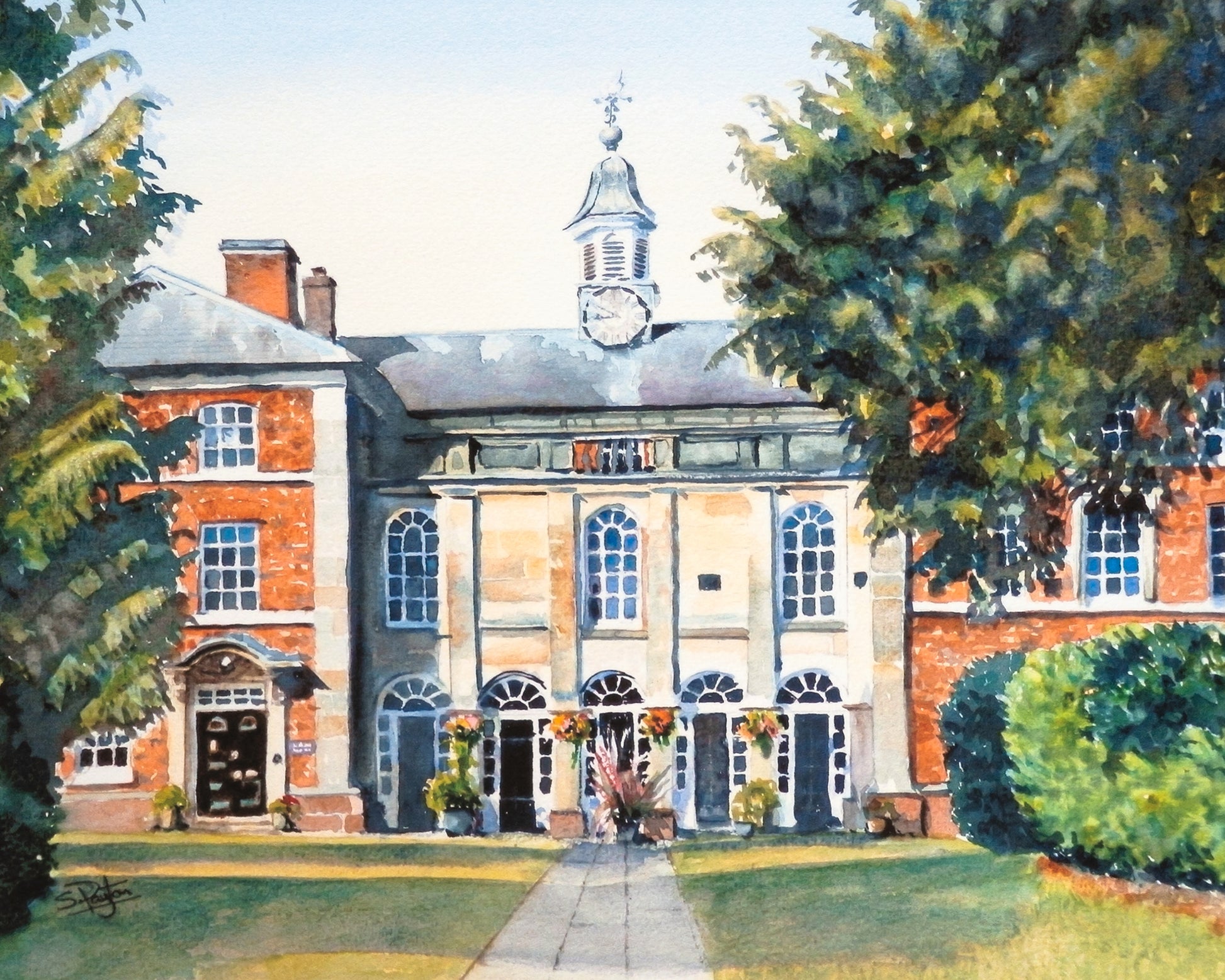 Adams Limited Edition Print by Sue Payton