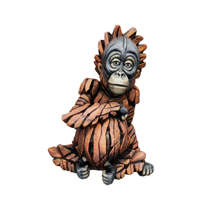 Baby Orangutan
