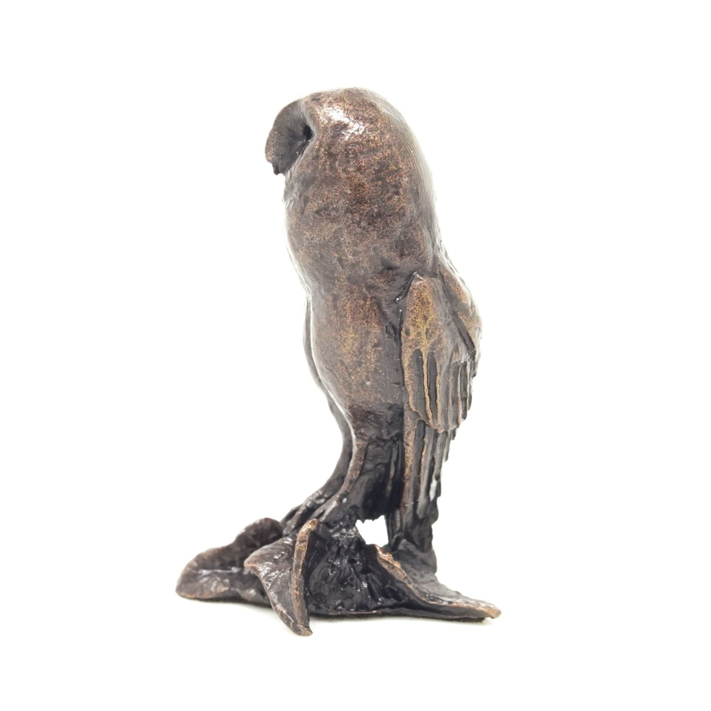 Barn Owl