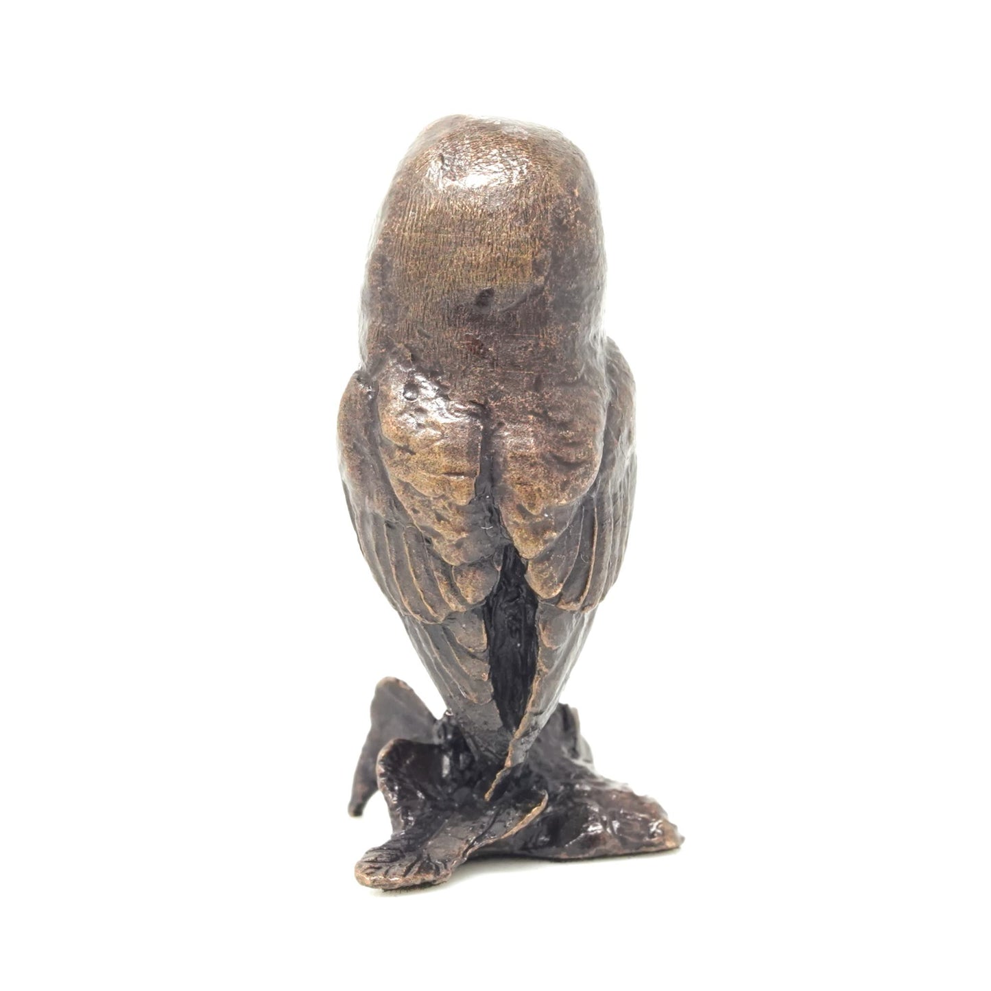 Barn Owl