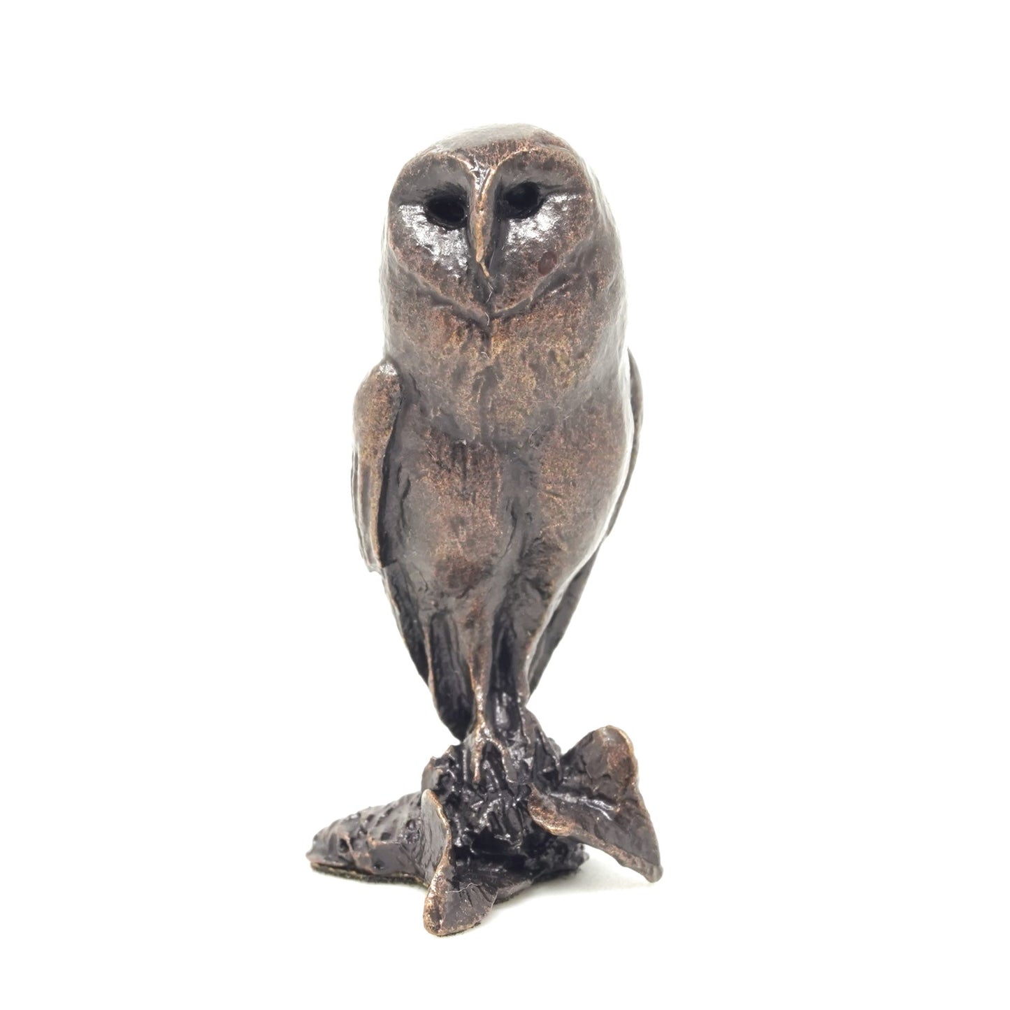 Barn Owl