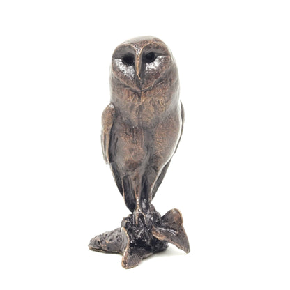 Barn Owl