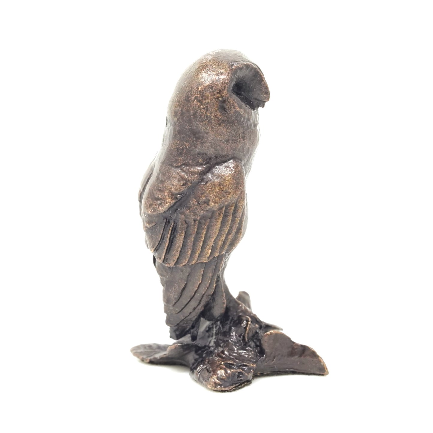 Barn Owl