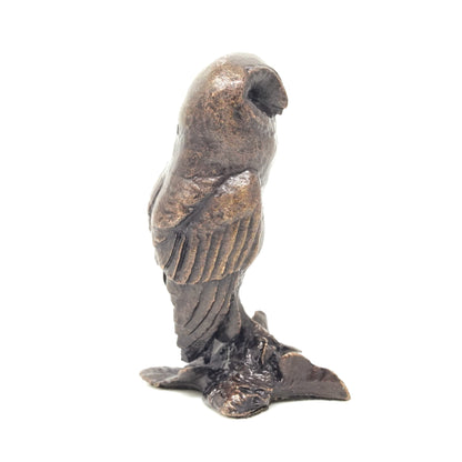 Barn Owl