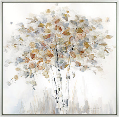 Birch Grove II framed print by Sally Swatland