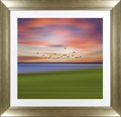 Birds in the Sunset framed print by Igor Vitomirov
