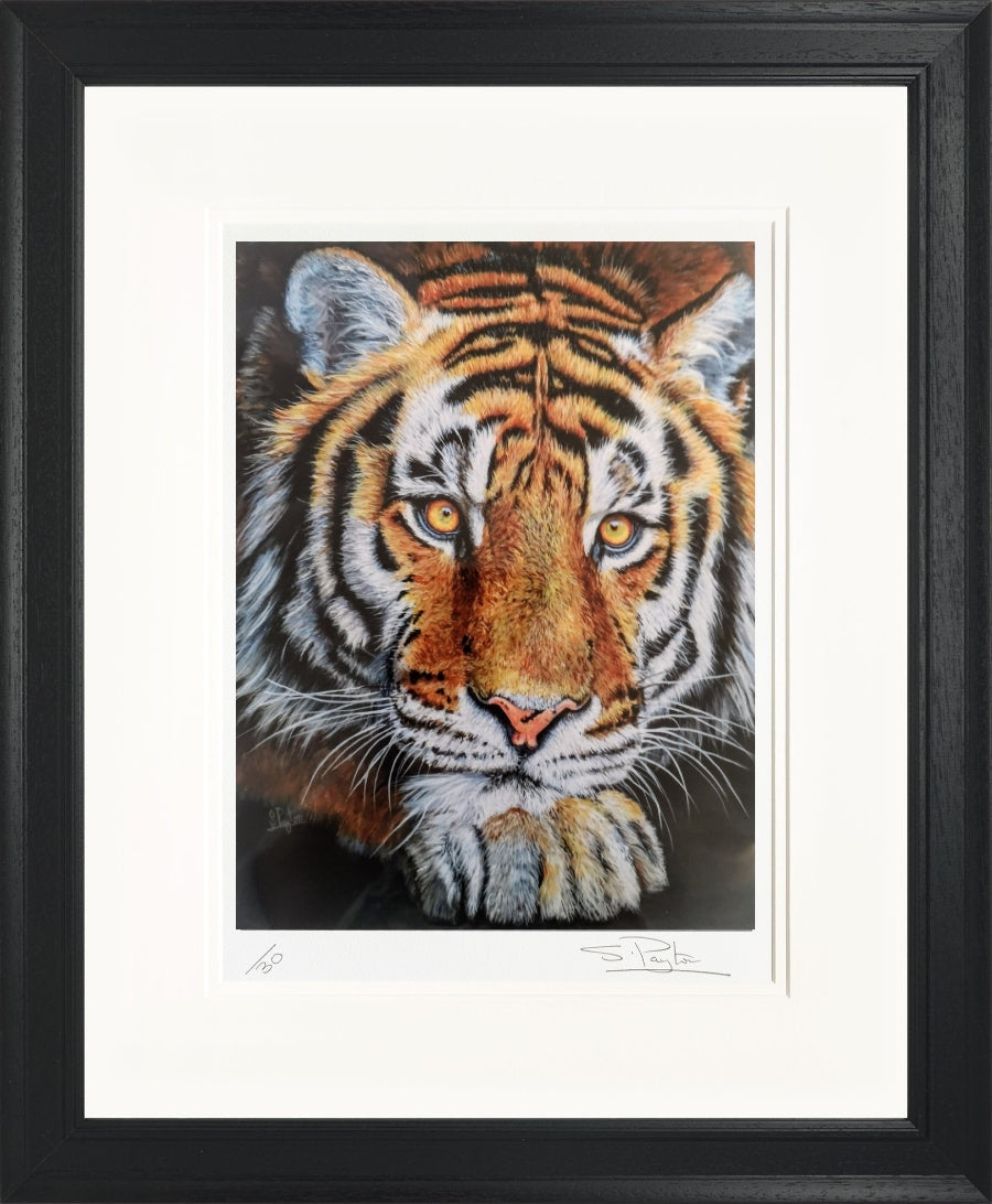 Jupiter limited edition print by Sue Payton