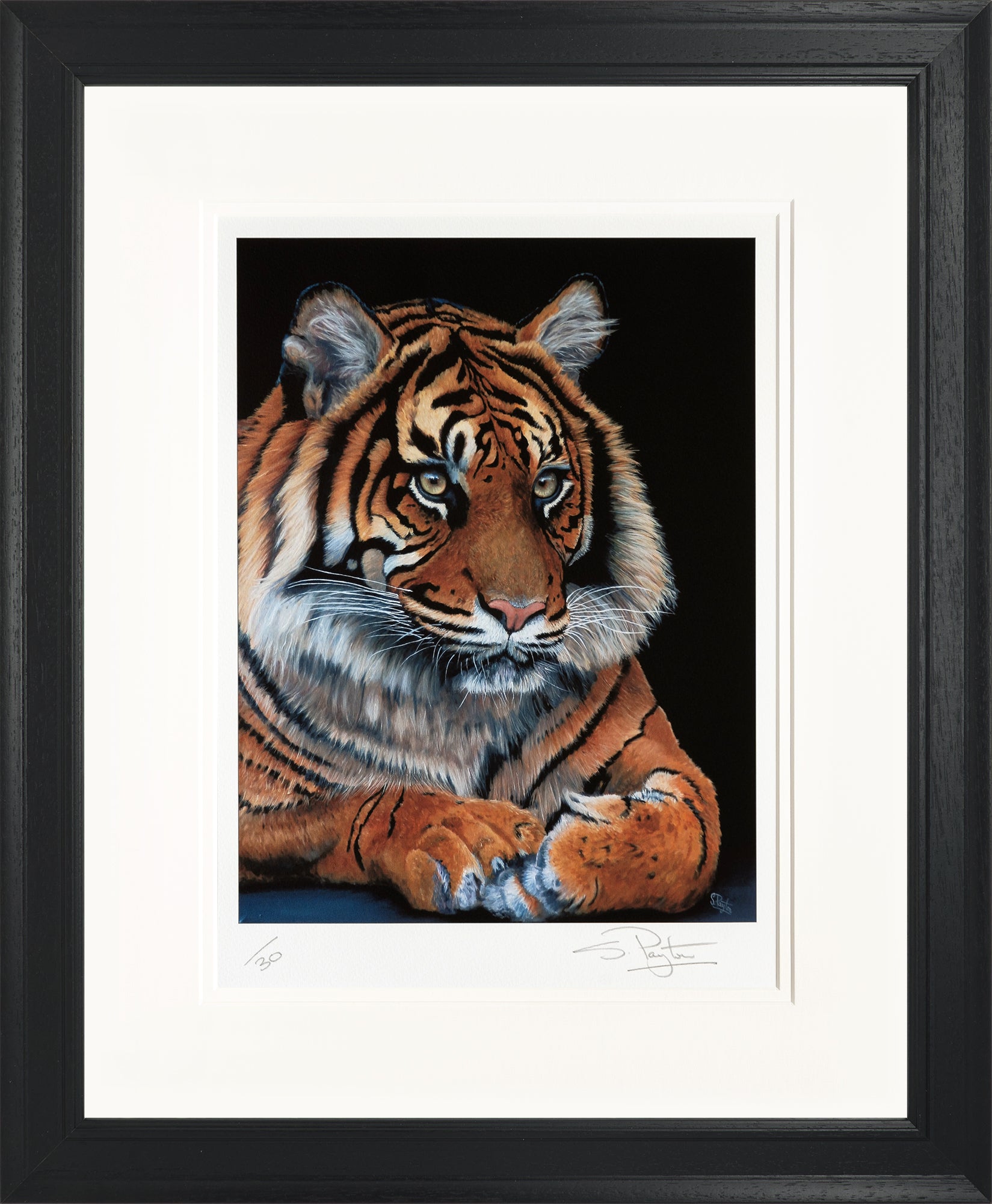 Watching limited edition print by Sue Payton