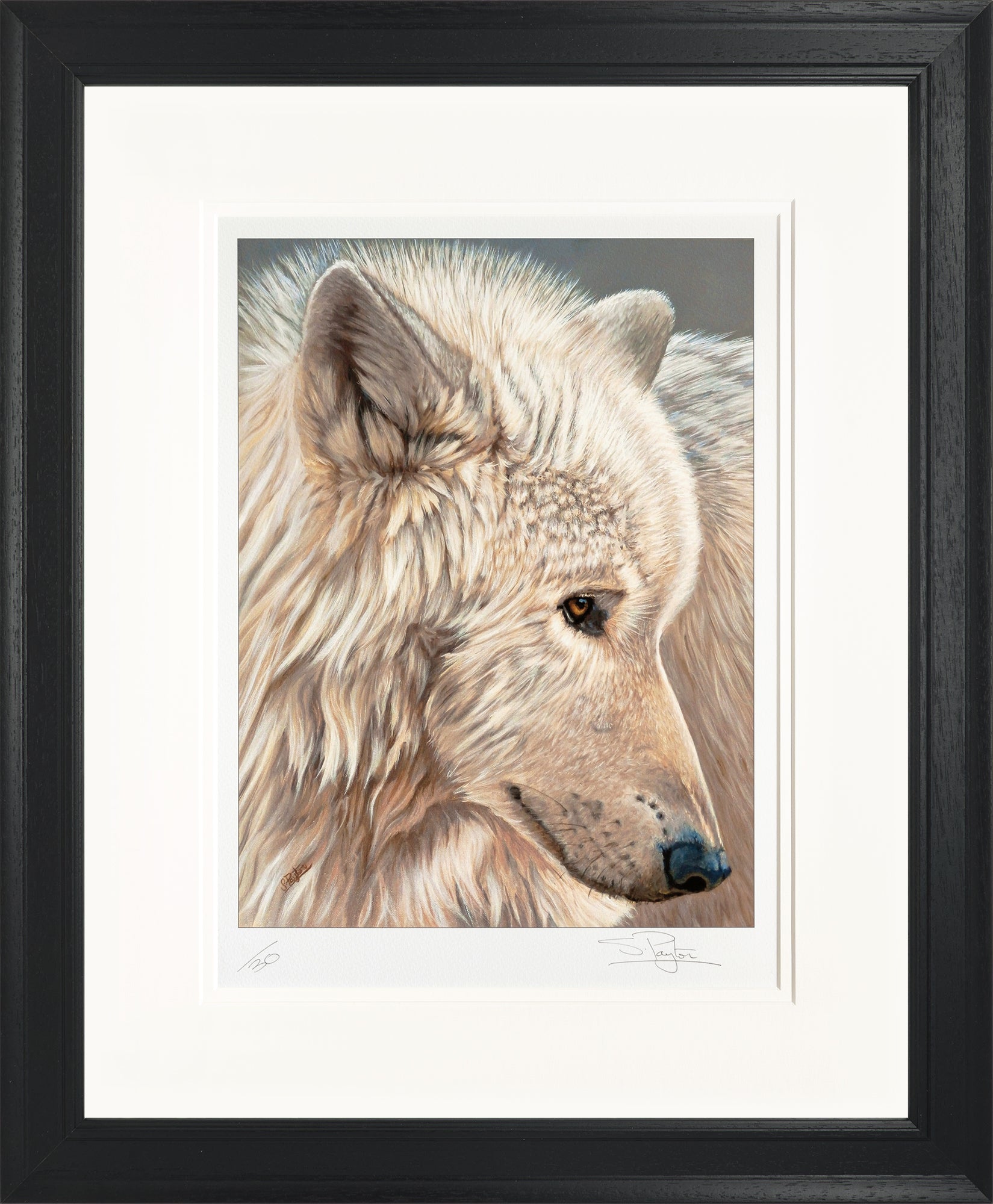 Spirit of the North Limited Edition Print by Sue Payton Framed Black