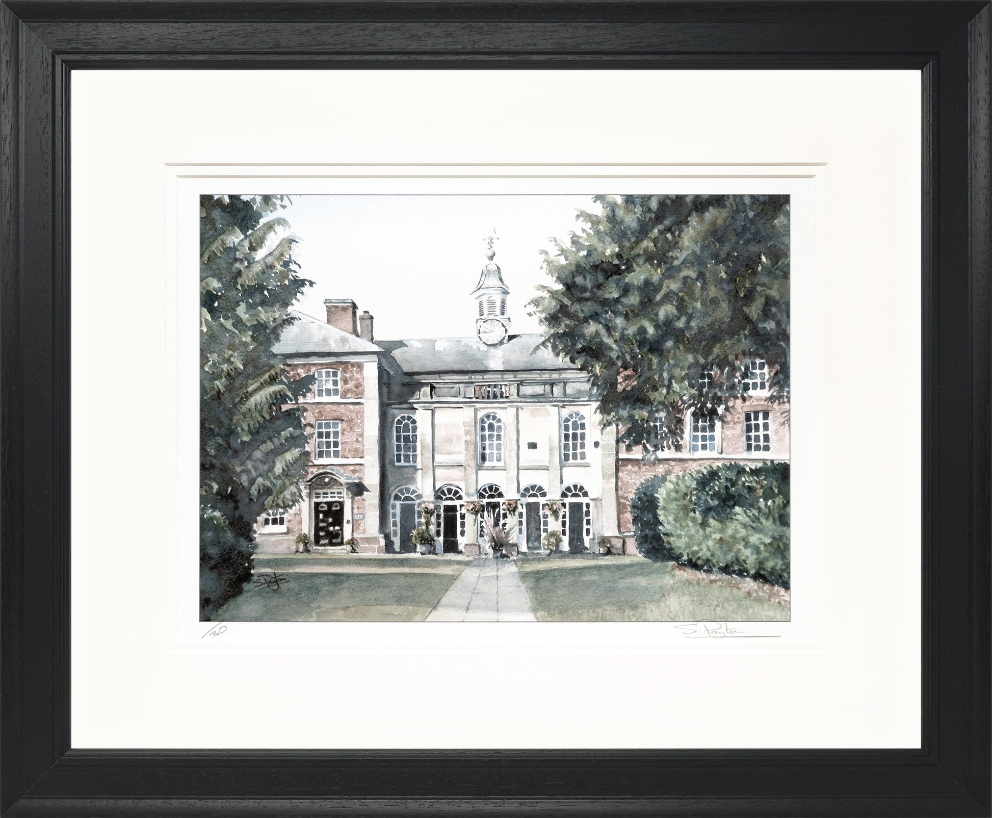 Adams II Limited Edition Print by Sue Payton Framed Black