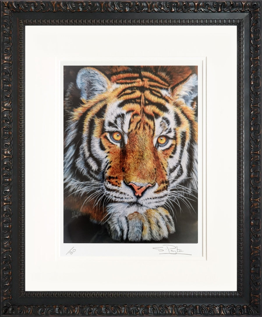 Jupiter limited edition print by Sue Payton