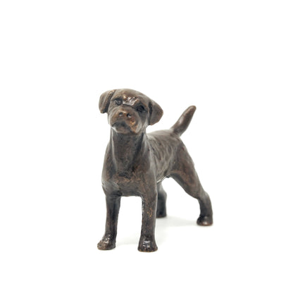 Border Terrier