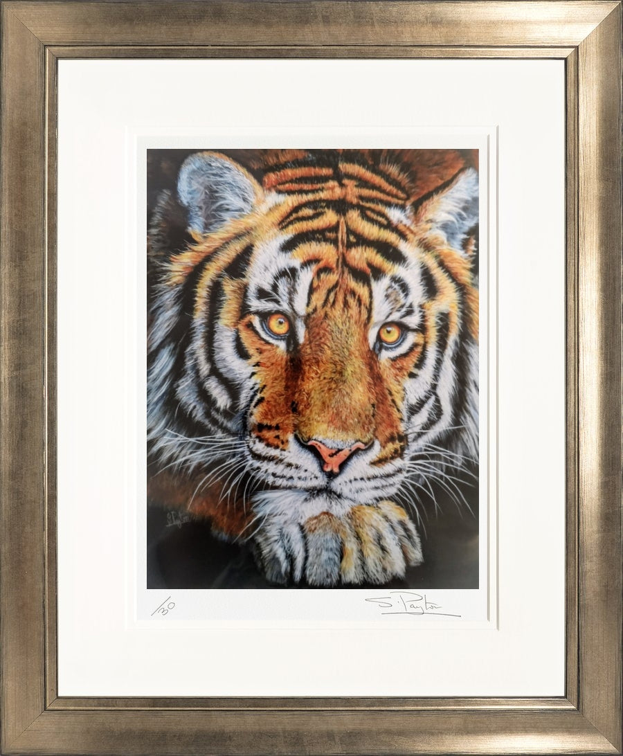 Jupiter limited edition print by Sue Payton