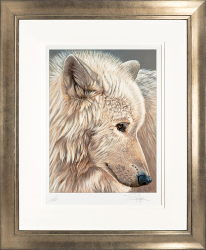 Spirit of the North Limited Edition Print by Sue Payton Framed Bronze