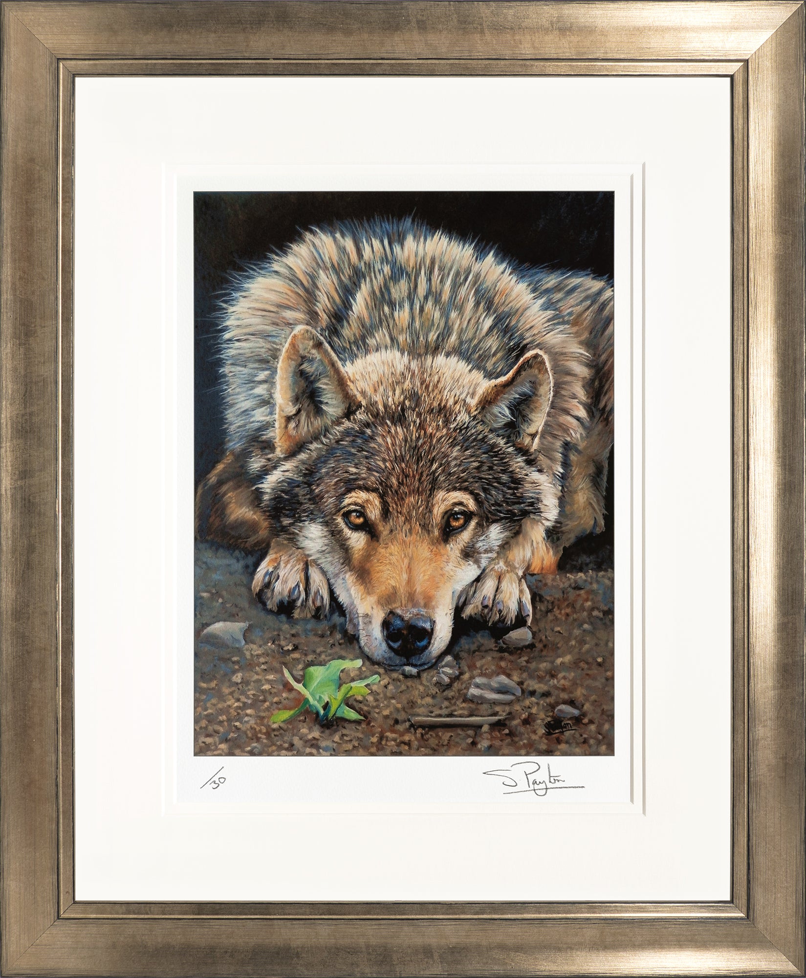 Patience Limited Edition Print by Sue Payton