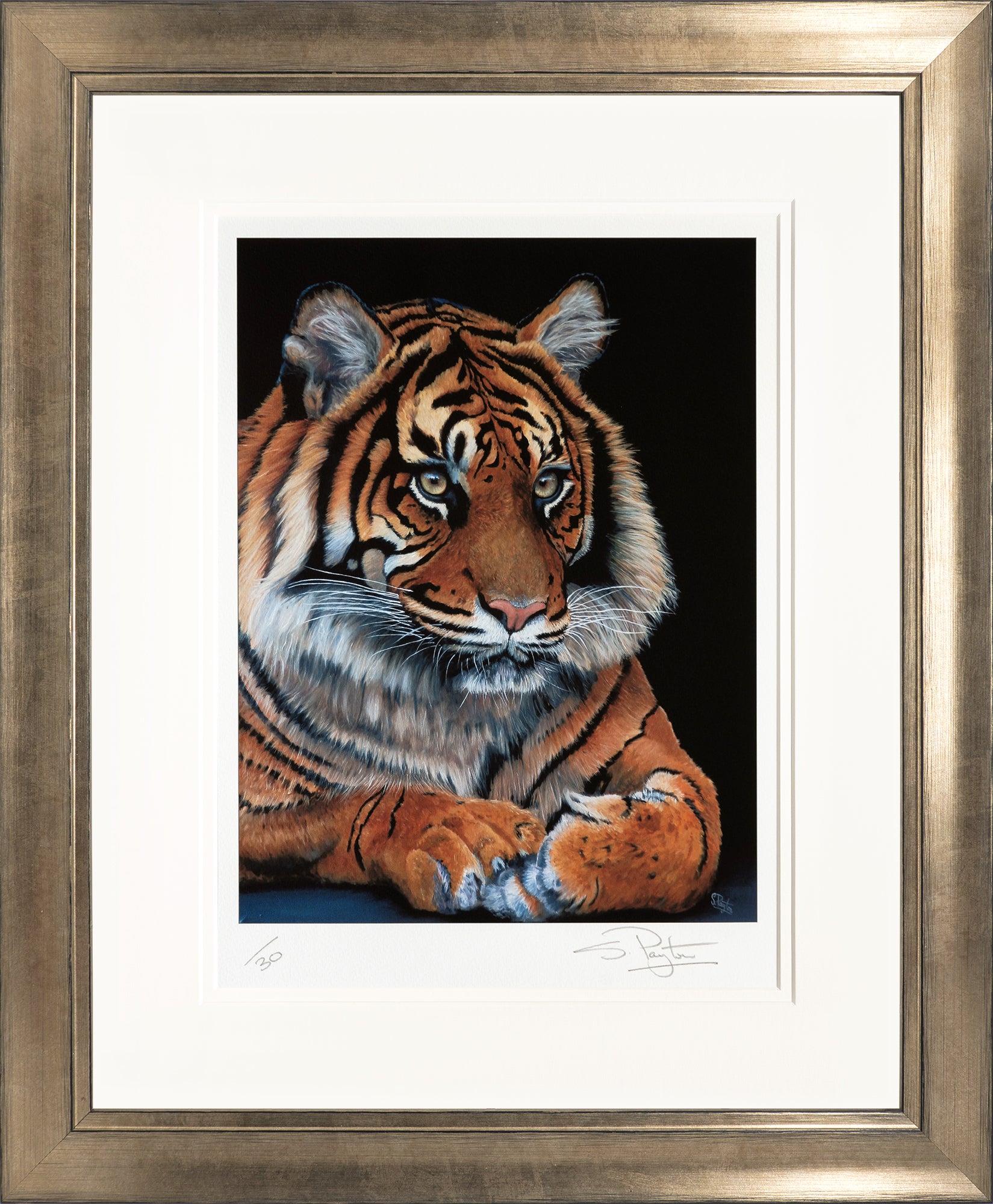Watching limited edition print by Sue Payton