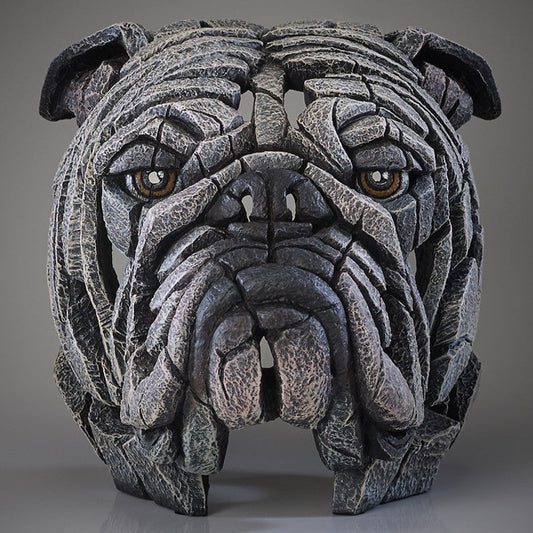 Bulldog Bust White