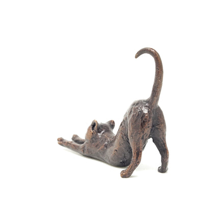 Cat Stretching
