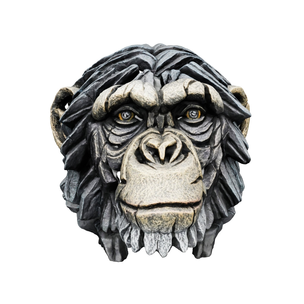 Edge Sculpture Chimpanzee Bust by Matt Buckley Artworx Gallery