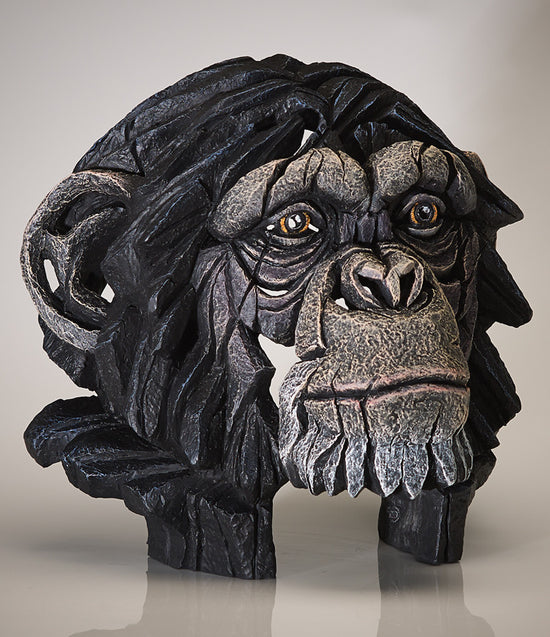 Edge Sculpture Chimpanzee Bust by Matt Buckley Artworx Gallery