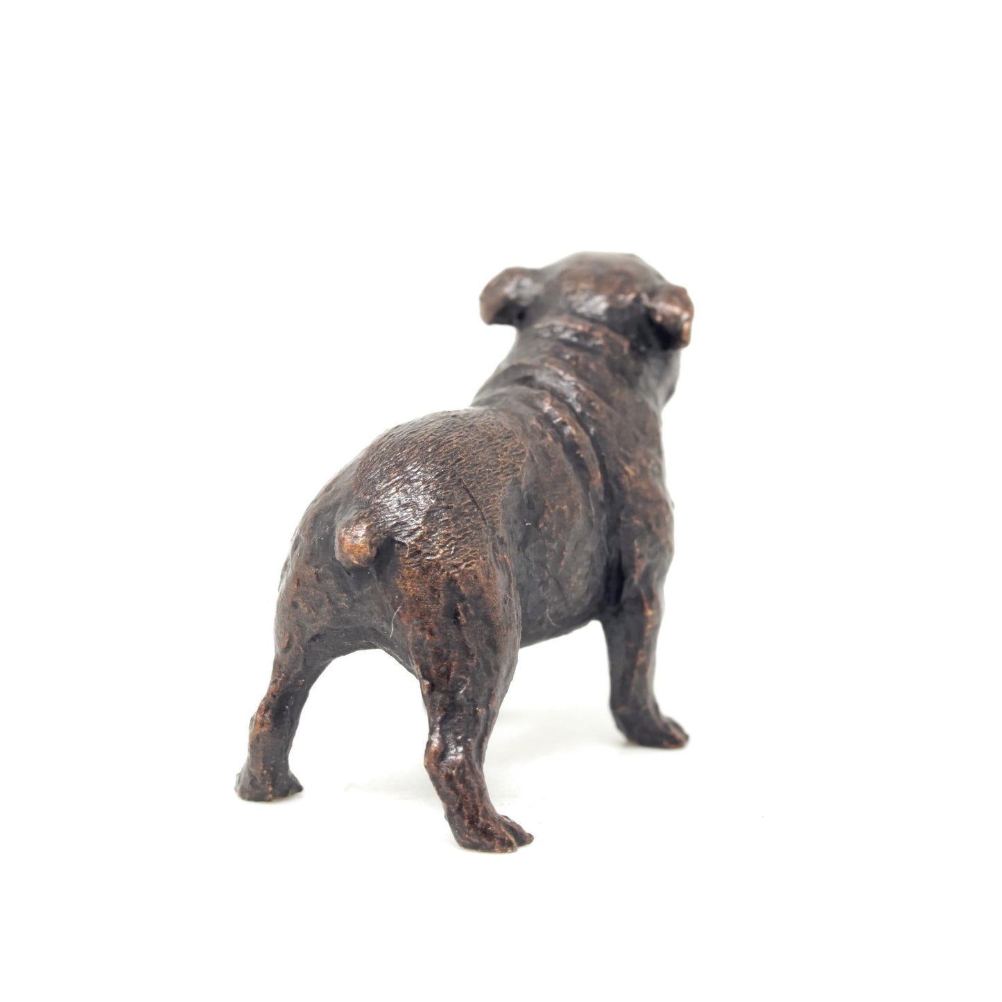 English Bull Dog