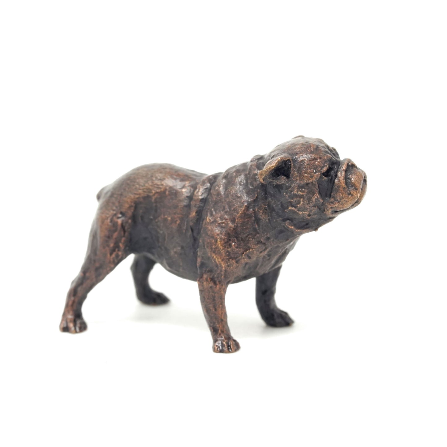 English Bull Dog