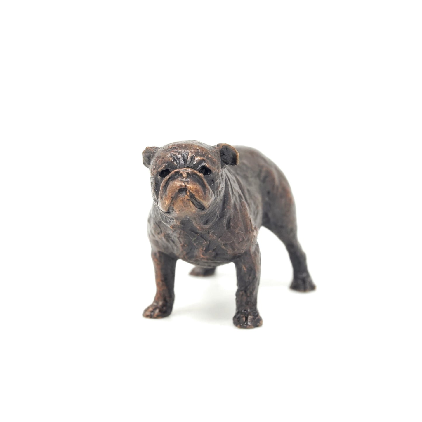 English Bull Dog