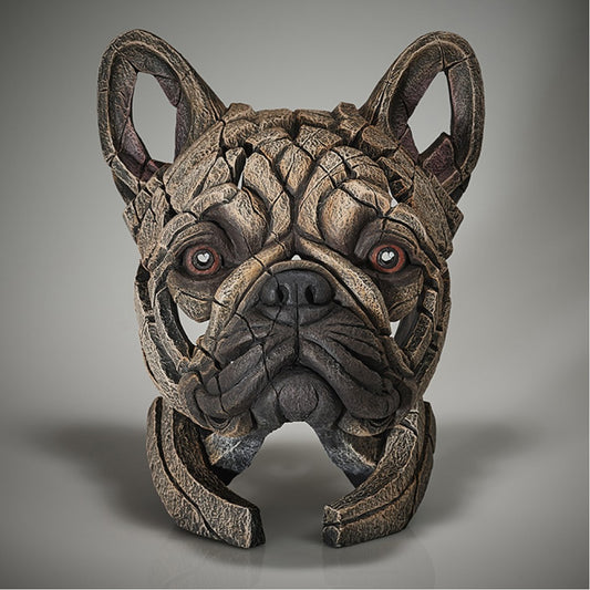 French Bulldog Bust - Fawn from Edge Sculpture by Matt Buckley