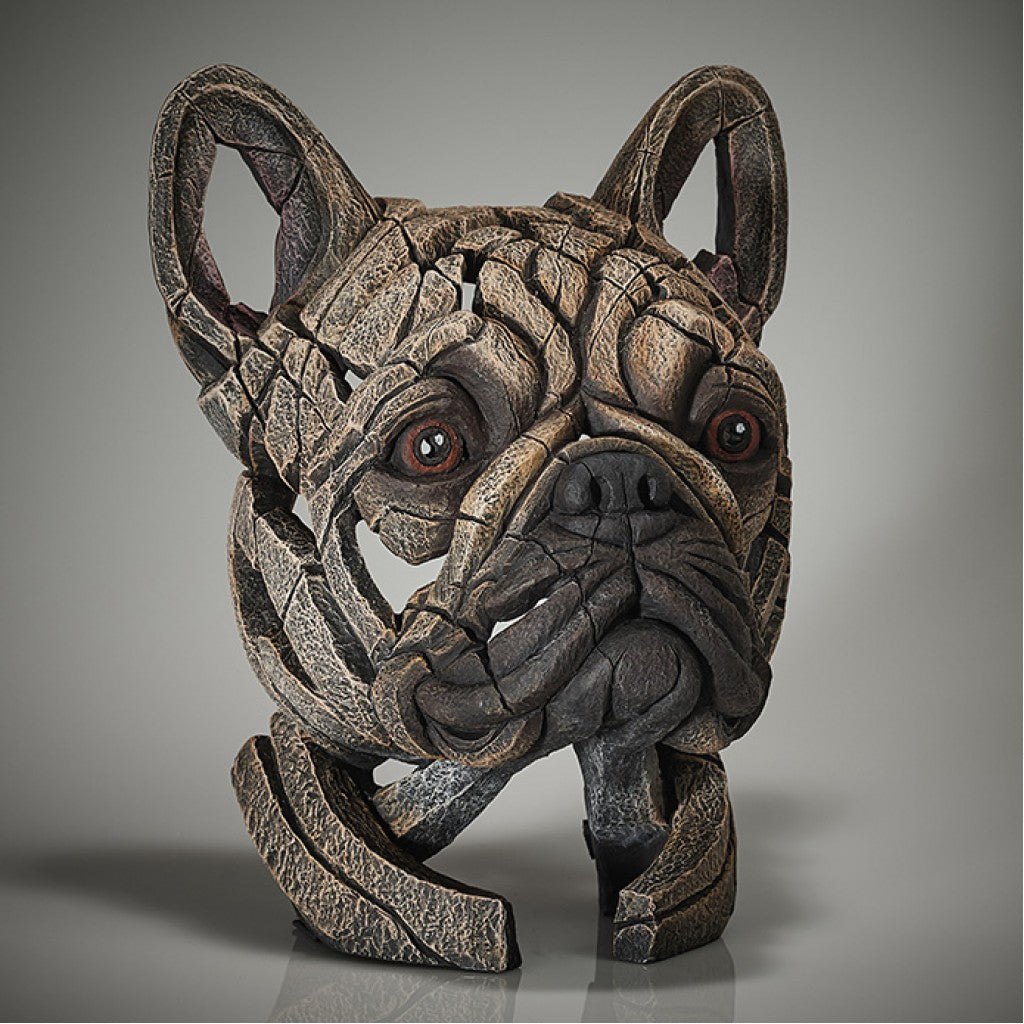 French Bulldog Bust - Fawn from Edge Sculpture by Matt Buckley