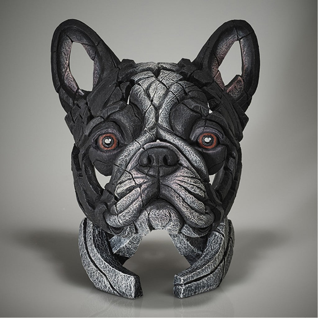 French Bulldog Bust - Pied from Edge Sculpture by Matt Buckley