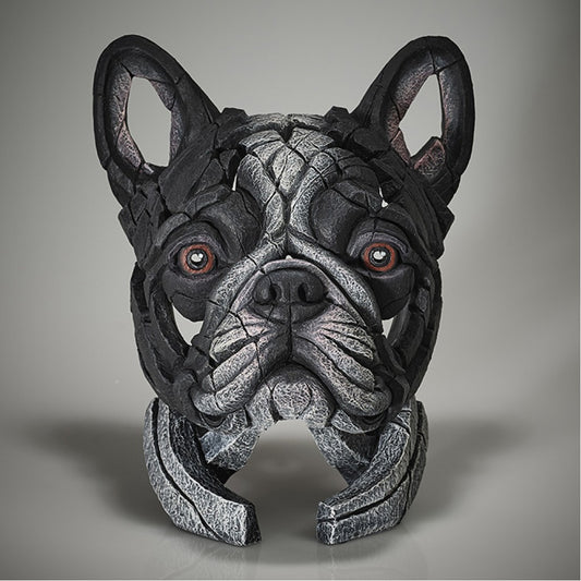 French Bulldog Bust - Pied from Edge Sculpture by Matt Buckley