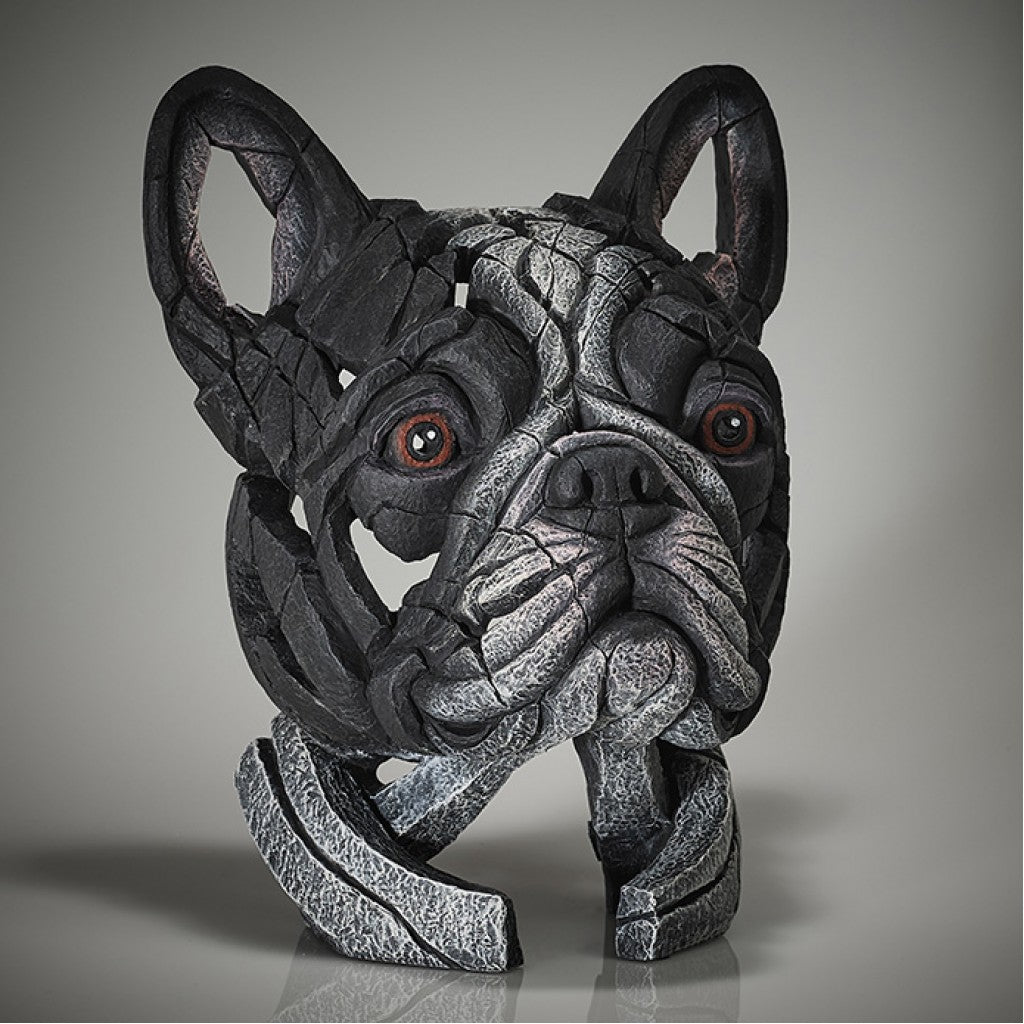 French Bulldog Bust - Pied from Edge Sculpture by Matt Buckley