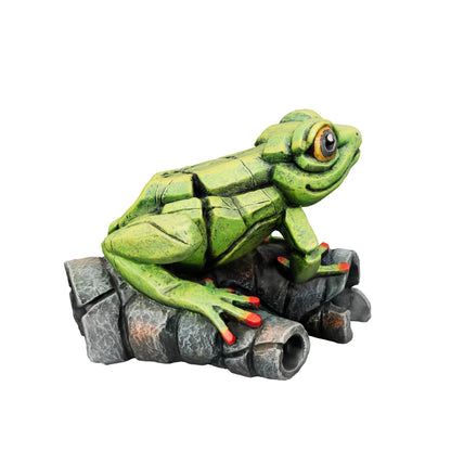 African Tree Frog Green