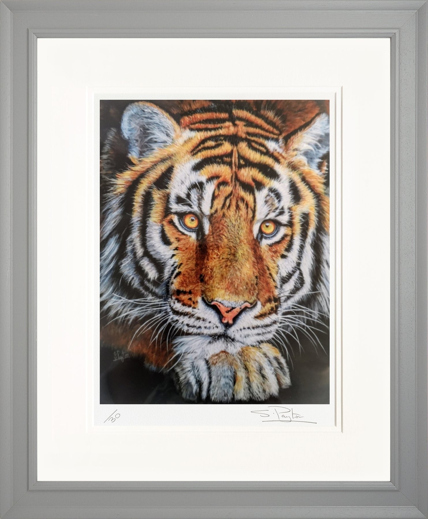 Jupiter limited edition print by Sue Payton